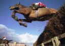 The photographer gets a worm's eye view of the racing at Ayr racecourse in November 1990. Picture: Ian Rutherford
