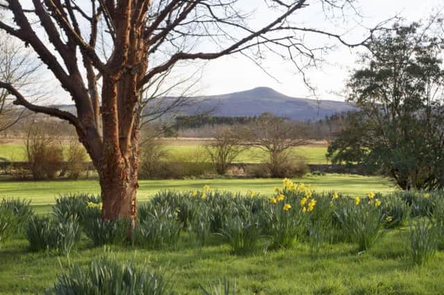Lomond Hills from the Rofsie gardens. Picture: Ray Cox [www.rcoxgardenphotos.co.uk/]