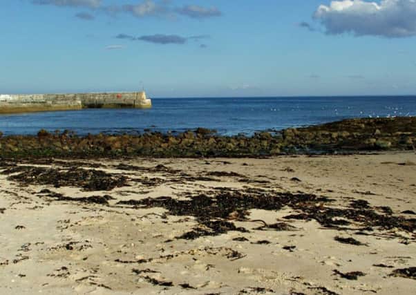 Balintore Harbour. Picture: David Maclennan/Geograph [http://bit.ly/1emtCSq] (CC)