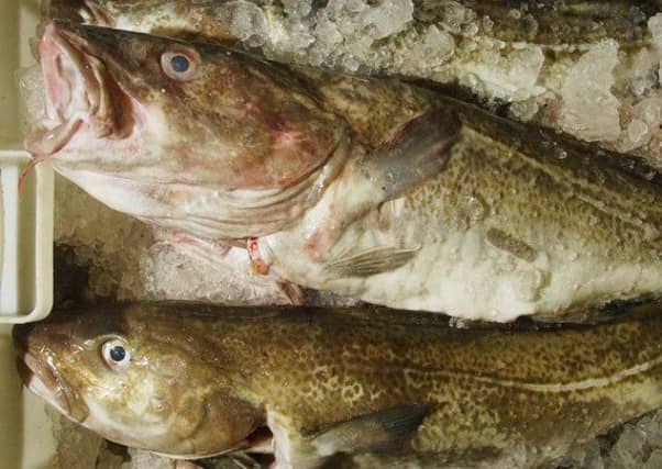 The device was found inside a cod. Picture: Neil Hanna