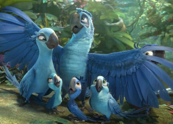 The blue macaws of Rio 2. Picture: Contributed