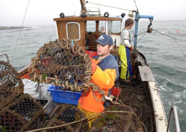 The Scottish Fishermans Federation is concerned about fishing quotas if Scotland joins the EU. Picture: Ian Rutherford