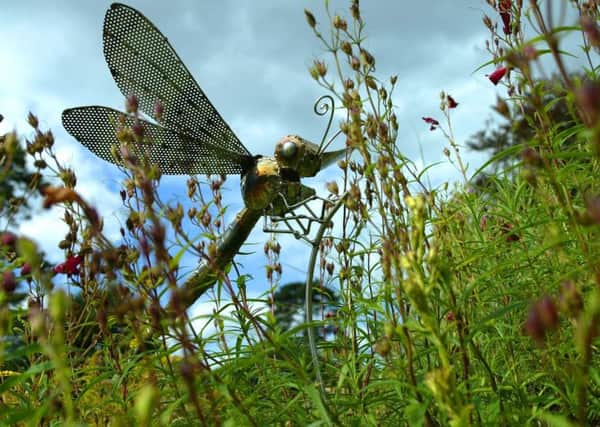 Scientists from St Andrews University have claimed that biodiversity is not at risk, as is widely thought by environmental scientists and campaigners. Picture: PA