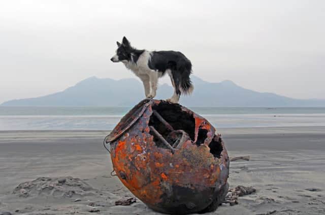 Ben Cormacks dog Captain Haddock stands over the detonated mine