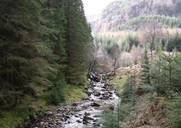 The path at Achray Water, Trossachs, leads to some impressive waterfalls. Picture: Nick Drainey