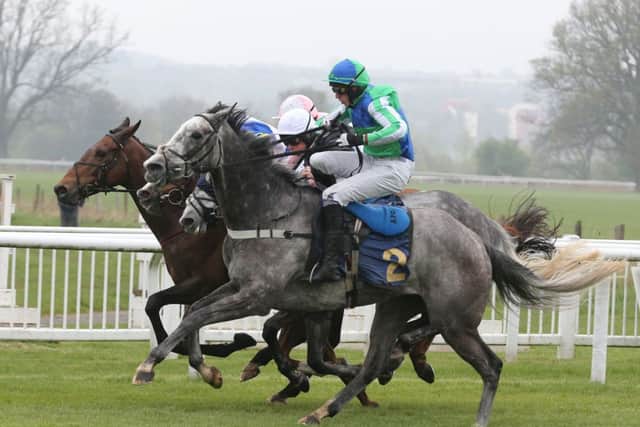 Ut Majeur Aulmes eventually got the best of this fourhorse cavalry charge to win the 3:50 at Perth yesterday. Picture: John Grossick