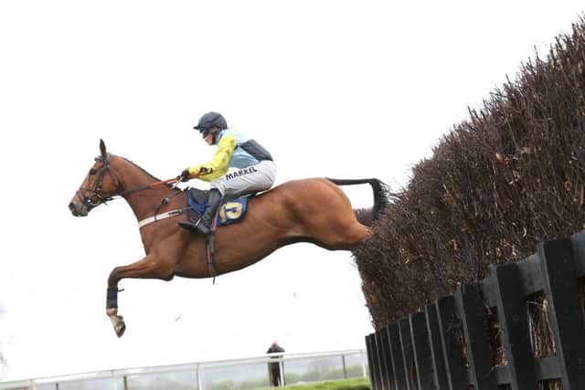 Bertie Milan, ridden by Lucy Alexander, wins at Perth yesterday Picture: Grossick Racing
