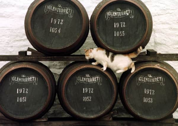 Scotland's oldest distillery is at Glenturret. Picture: TSPL