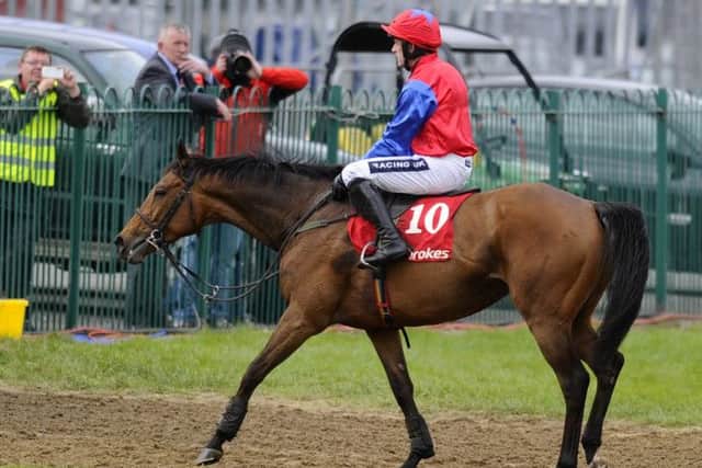 Quevega, with Ruby Walsh on board, makes her way off the course after losing to Jetson. Picture: Getty
