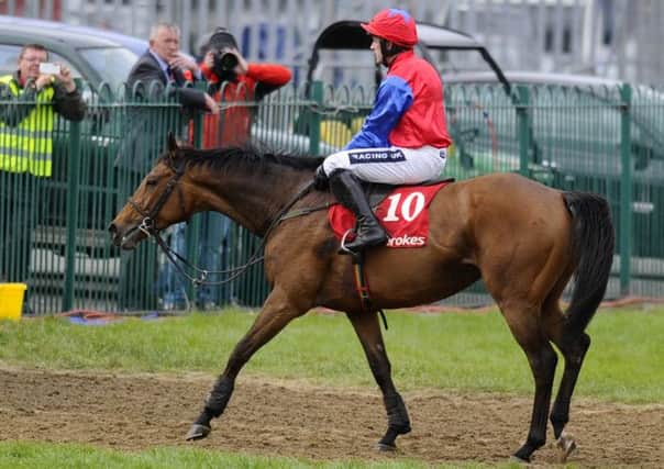 Quevega, with Ruby Walsh on board, makes her way off the course after losing to Jetson. Picture: Getty