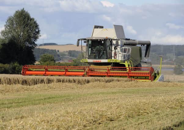 NFU Scotland is behind a campaign to have the crop diversification rules changed.Picture: TSPL