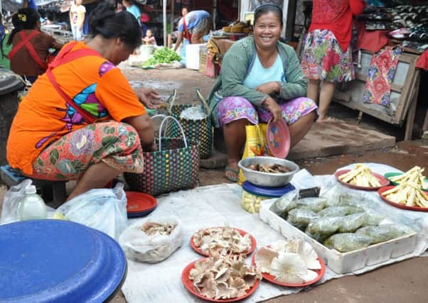 Mushrooms on sale near Vientiane. Picture: Contributed
