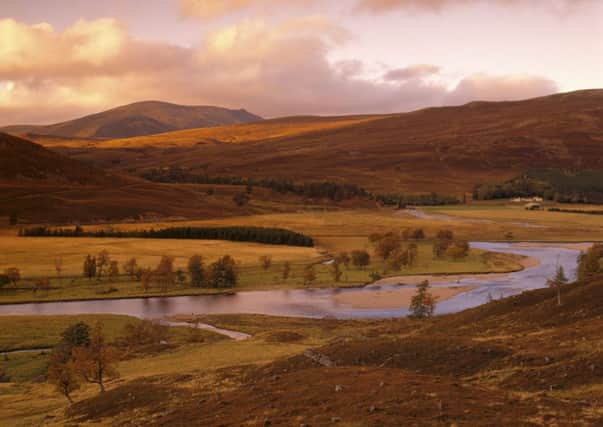 Ticks are thriving in the Munros this year. Picture: National Trust for Scotland