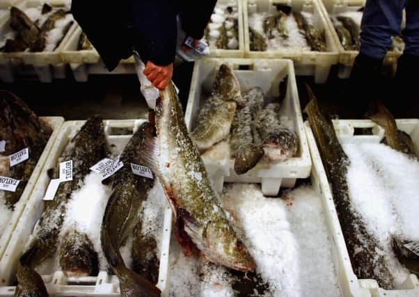 The Highlands is one of the most remote and fragile economies in Europe. Picture: Getty