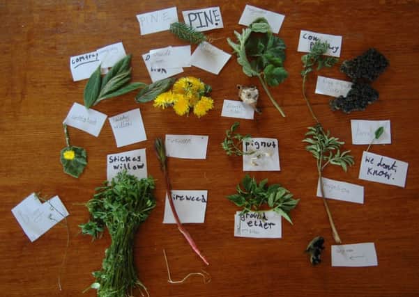 Some of the foraging haul laid out on the table. Picture: Catriona Thomson