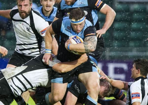 Glasgow Warriors' Ryan Grant pushes through the Zebre defence. Picture: SNS