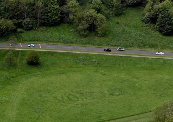 A prankster who tried to promote the Better Together campaign have used fertiliser to grow a Vote No slogan on Holyrood Park. Picture: Hemedia