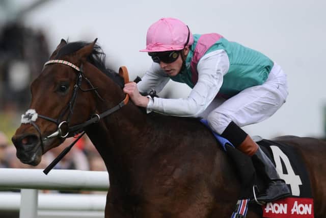 Kingman has been backed into odds-on favouritism for todays Irish 2,000 Guineas. Picture: Getty