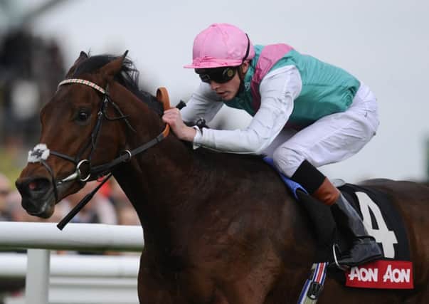 Kingman has been backed into odds-on favouritism for todays Irish 2,000 Guineas. Picture: Getty