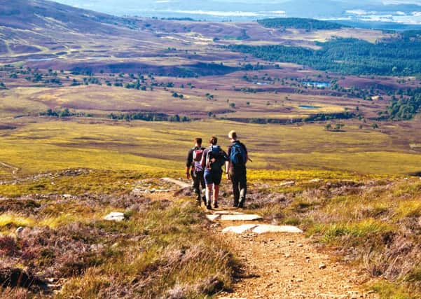 Hikers follow a path across the Cairngorms National Park. Picture: Drazan Tomic