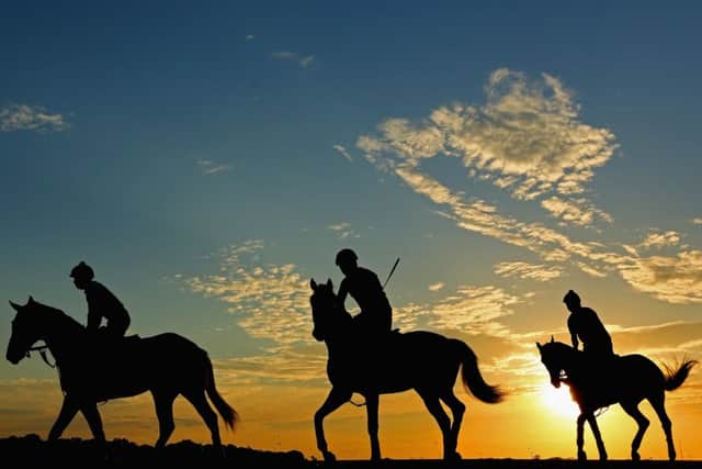 Horses ride out at sunrise at Belmont racecourse in New York. Picture: Getty