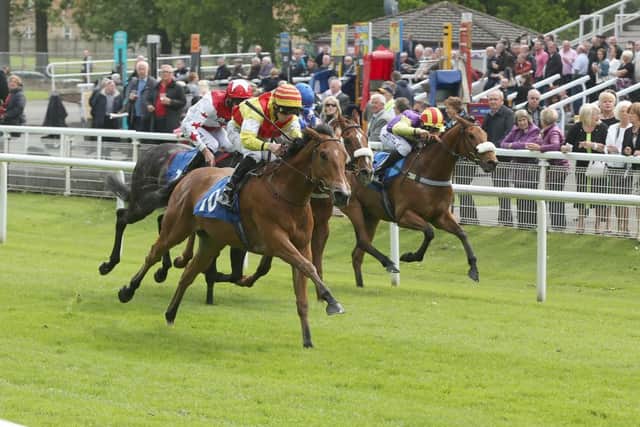 Raise A Billion, ridden by Paddy Mathers, wins the Avon Gorge Handicap at Hamilton yesterday. Picture: John Grossick