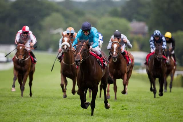 Brown Panther wins at Sandown. Picture: PA