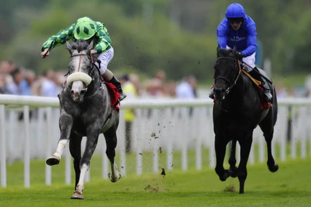 The Grey Gatsby, left, wins the Dante Stakes, but will face tough competition at Chantilly. Picture: Getty