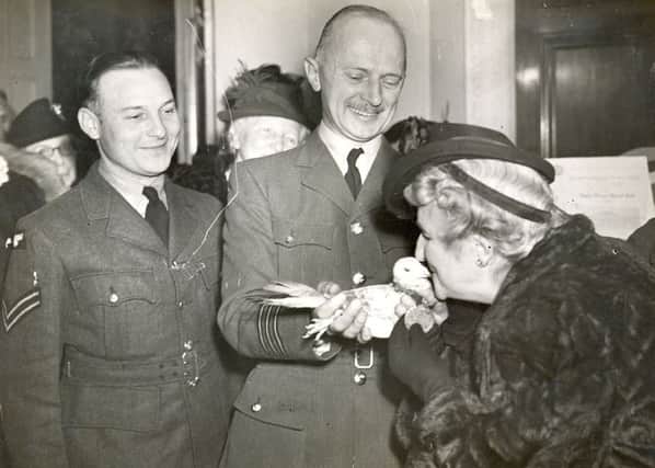Gustav the pigeon receives the PDSA Dickin Medal for bringing back news of D-Day. Picture: PA