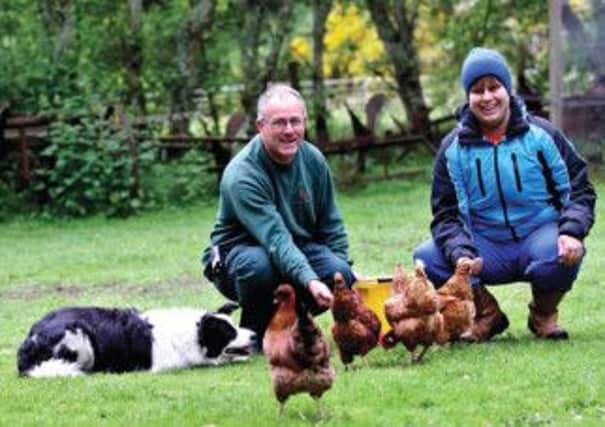 Bob Bull with Angus Kyle feeding the chickens at Glachbeg croft. Picture: Peter Jolly