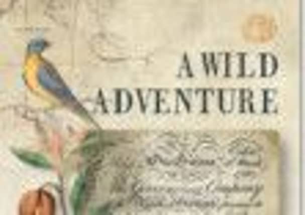 A Wild Adventure. Picture: Contributed