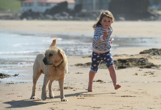 Four-year-old Isla Nisbet, with her dog Harvey, enjoying the sunny weather on North Berwick beach yesterday. Picture: Phil Wilkinson