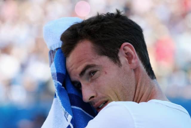 Andy Murray wipes his face during his straight-sets defeat to Radek Stepanek at the Aegon Championships. Picture: Getty