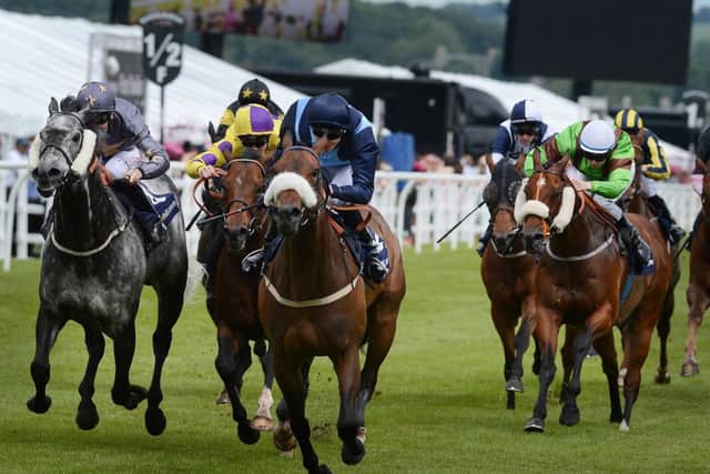 Demora, ridden superbly by Ali Rawlison, won the William Hill Sprint Cup. Picture: Neil Hanna