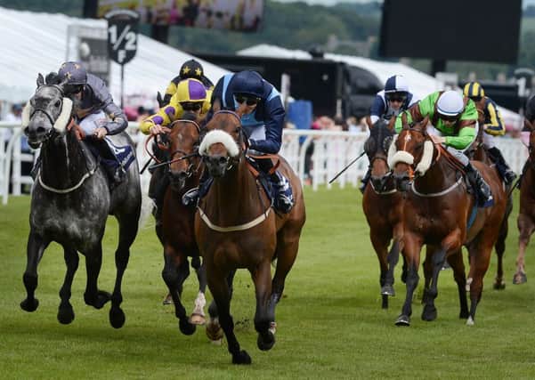 Demora, ridden superbly by Ali Rawlison, won the William Hill Sprint Cup. Picture: Neil Hanna