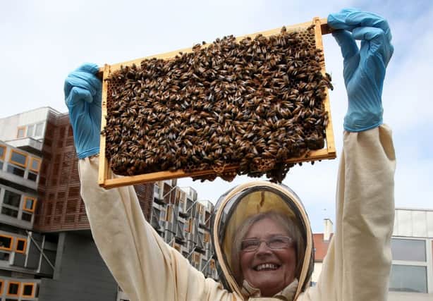 Scottish Parliament Presiding Officer Tricia Marwick holds a honeycomb of the Buckfast variety of bee. Picture: PA