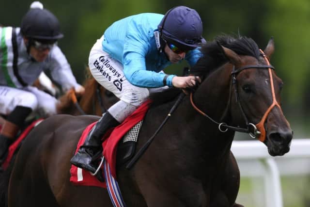 Brown Panther can savour Royal Ascot success again when he goes in todays Gold Cup. Picture: Getty