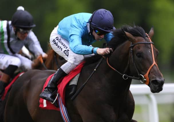Brown Panther can savour Royal Ascot success again when he goes in todays Gold Cup. Picture: Getty