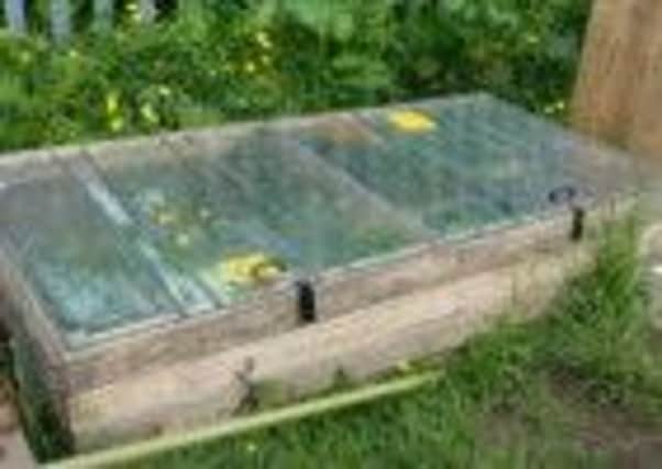 Cold Frame made out of recycled door panels on an allotment in Glasgow. Picture: Contributed