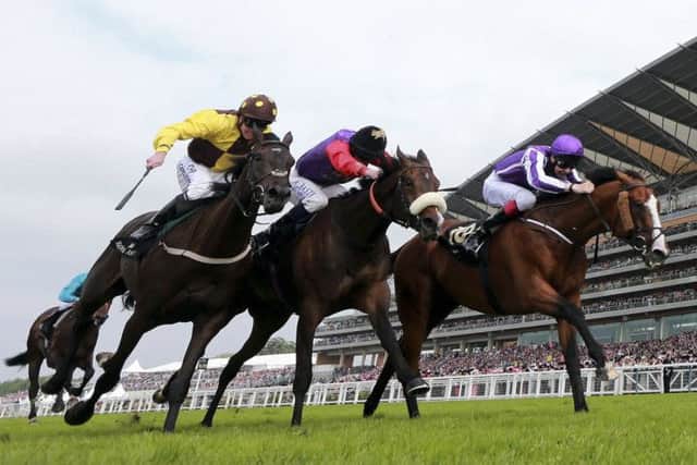 Leading Light, right, beats secondplaced Estimate, centre, and thirdplaced Missunited to win the Gold Cup. Picture: AP/PA