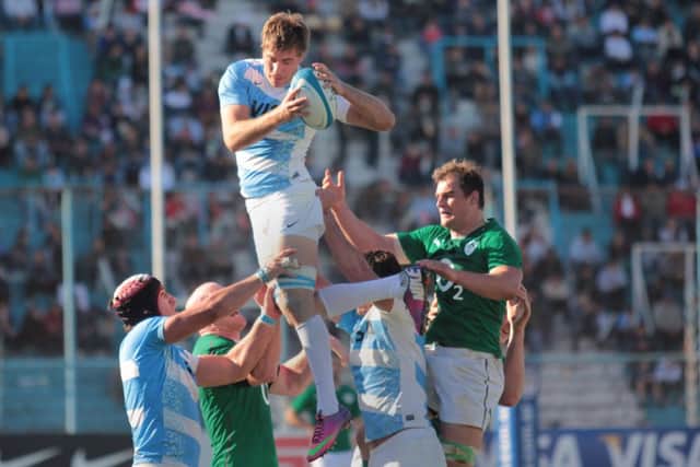Argentina, playing in last weeks match against Ireland in Tucuman. Picture: AFP/Getty
