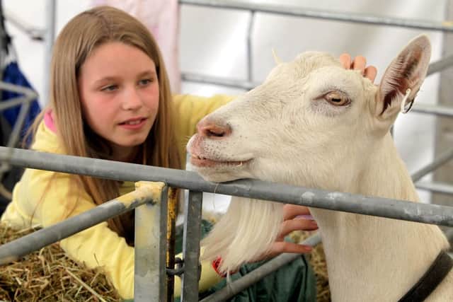 Royal Highland Show, a four-day event, featuring more than 5000 animals. Picture: Hemedia