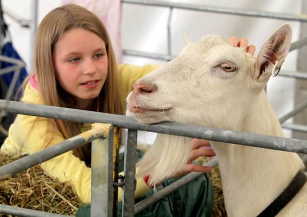 Royal Highland Show, a four-day event, featuring more than 5000 animals. Picture: Hemedia