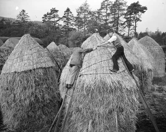 'Chasing the girls around the haystack after dark' just wouldn't cut it. Picture: TSPL