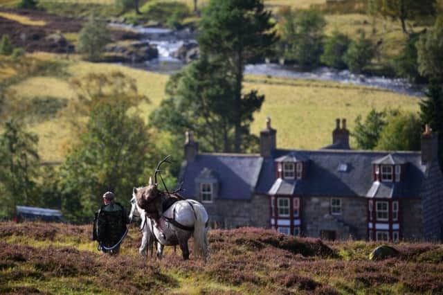 The public will have a greater say on the uses of land across the country. Picture: Getty