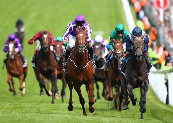 Australia is the favourite for todays Irish Derby at the Curragh. Picture: Getty