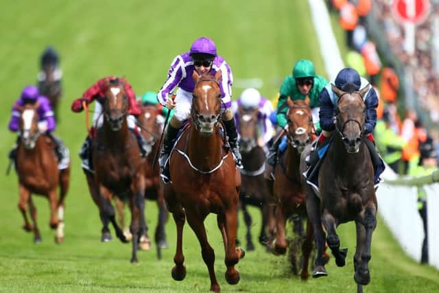 Australia is the favourite for todays Irish Derby at the Curragh. Picture: Getty