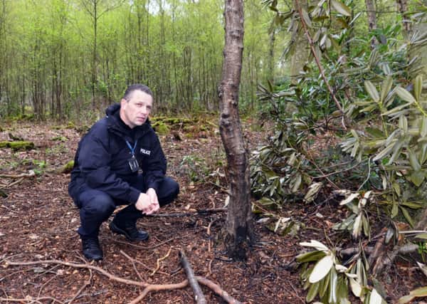 PC Ian Laing at the scene where a dog was tied to a tree and set on fire. Picture: JP