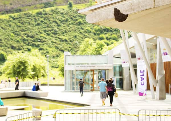 A swarm of bees has settled on part of the Scottish Parliament structure. Picture: Malcolm McCurrach