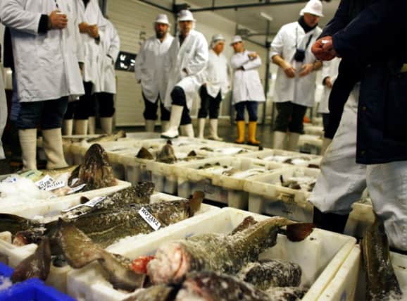 Nobody wants discards, least of all fishermen. Picture: Getty